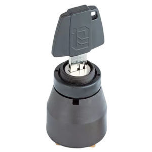 interruptor de llave
