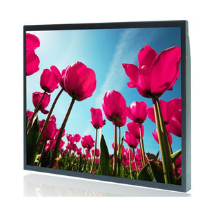 monitor LCD 1