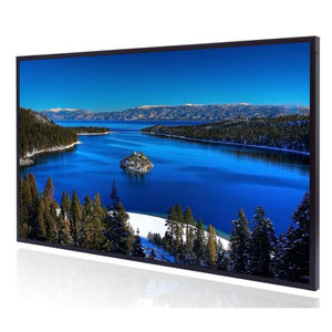 monitor LCD 1
