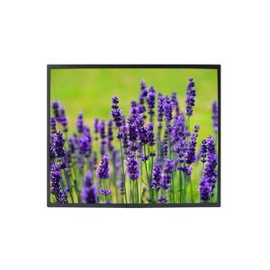 monitor TFT-LCD 1