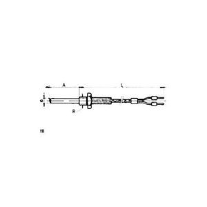 sonda de temperatura RTD 1