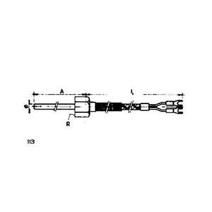 sonda de temperatura RTD 1