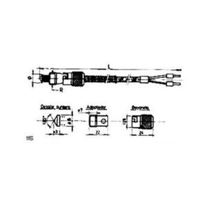 sonda de temperatura RTD 1