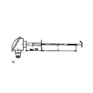 sonda de temperatura RTD 1