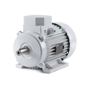 motor IE1
