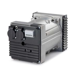 alternador monofásico / brushless / 2 polos / de baja tensión