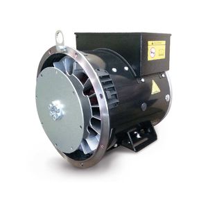 alternador monofásico / brushless / 4 polos / de baja tensión