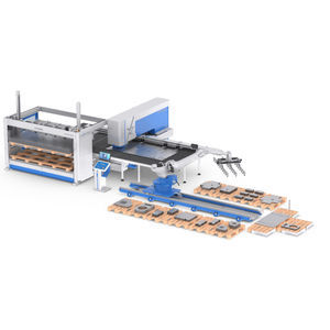 máquina clasificadora automatizada