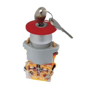 interruptor de llave