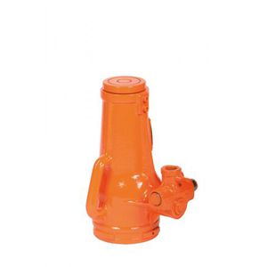 gato tipo botella