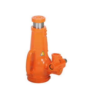 gato tipo botella