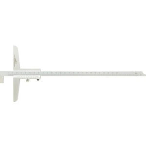 pie de rey Vernier