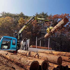 cargadora forestal de pluma articulada 1