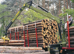 cargadora forestal de pluma articulada 1