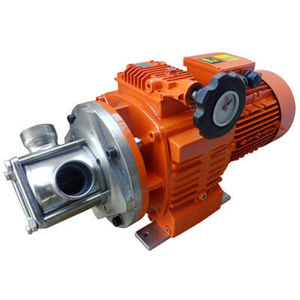 bomba de rotor