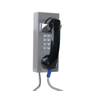 teléfono analógico 1