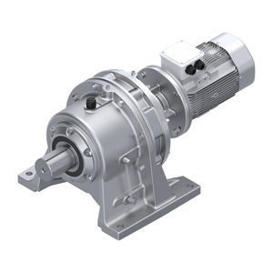 motorreductor cicloidal