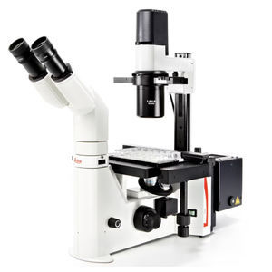 microscopio óptico