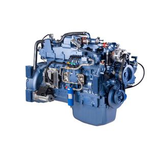 motor de gas 1