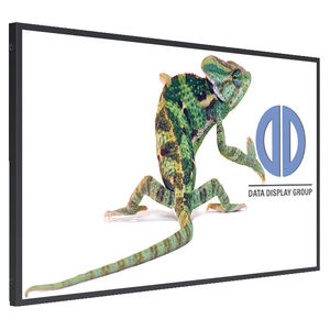 monitor LCD