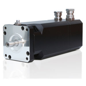 servomotor bifásico 1