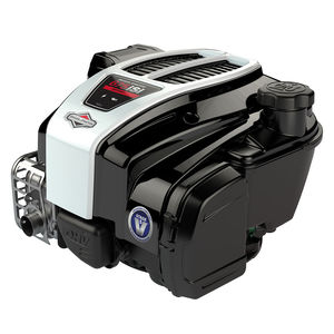 motor térmico gasolina 1