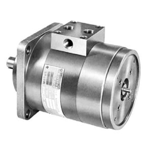 motor hidráulico de paletas