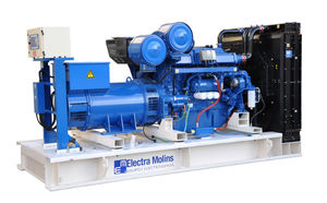 grupo electrógeno diésel 1