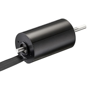 motor brushless 1