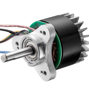motor brushless 1