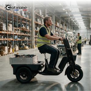transportador de 3 ruedas 1