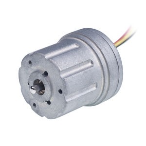 motor brushless 1