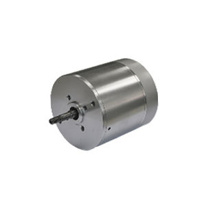 motor brushless 1