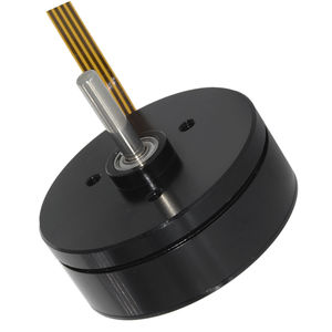motor brushless 1
