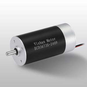 motor brushless