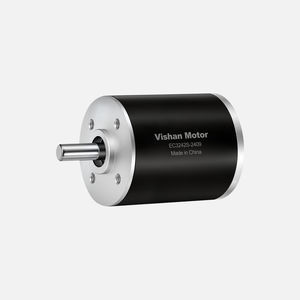 motor brushless 1