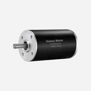 motor brushless 1