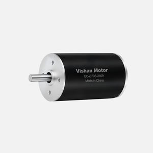 motor brushless 1