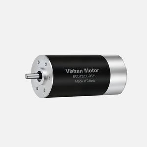 motor brushless 1