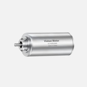 motor brushless 1