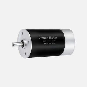 motor brushless 1