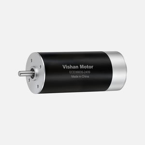 motor brushless 1