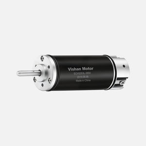 motor brushless 1