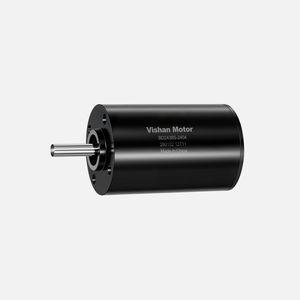 motor brushless 1