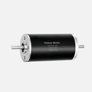 motor brushless 1