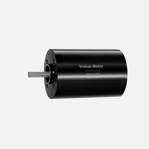 motor brushless 1