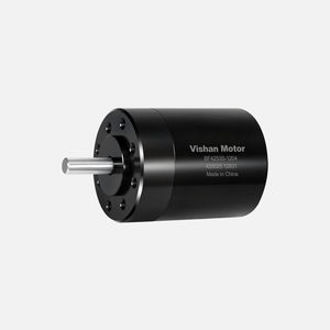 motor brushless 1