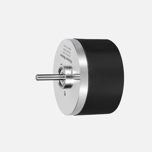 motor brushless 1