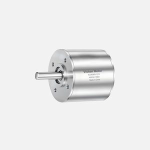 motor brushless 1