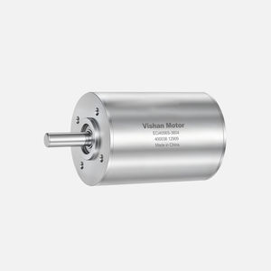 motor brushless 1